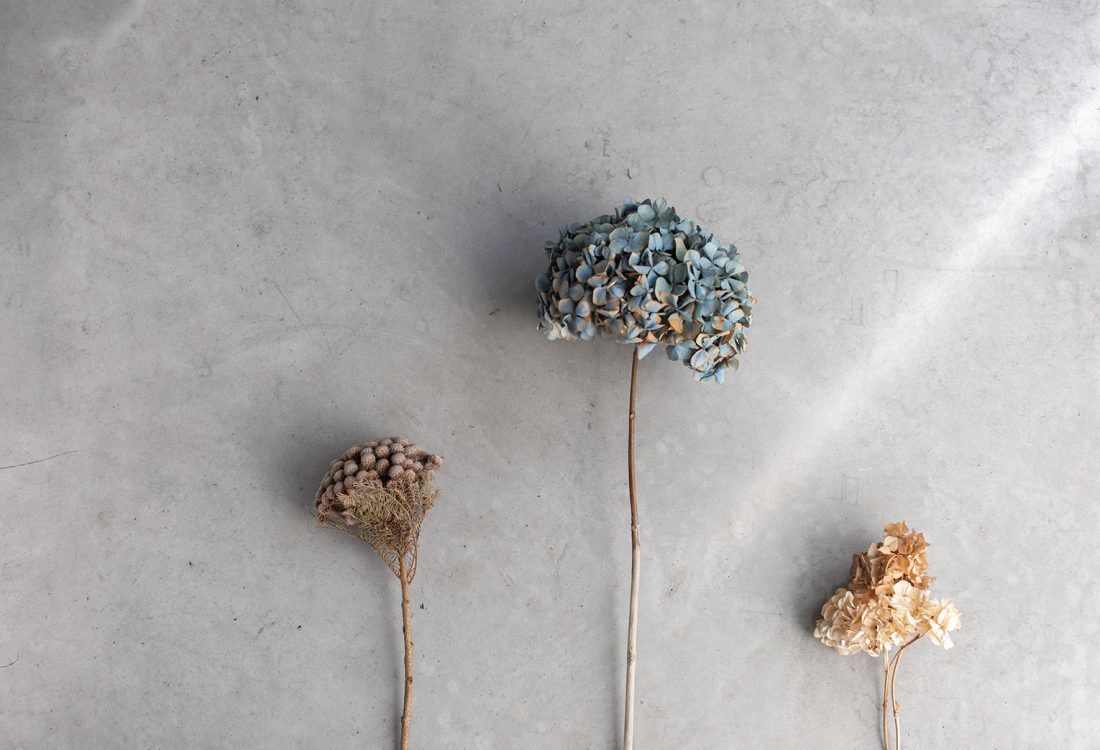 Coaching-is-your-competitive-edge